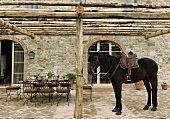 Gesatteltes Pferd auf der Terrasse eines Landhauses und Tisch mit Stühlen unter Pergola