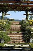 Flight of stairs and a pergola in a terrace garden with a view of a sun umbrella