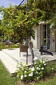 View of a the terrace of a country home with a plant covered pergola and wicker chairs