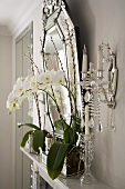 White orchids on a mantelpiece and wall candle holders with crystal decorations next to a mirror