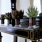 Cacti in glass bowls on an art deco davenport