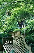 A wooden bench in the shade of a tree