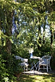 Shady nook in the garden