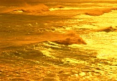 Goldene Meeresbrandung in Maui, Hawaii