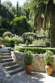 Mediterraner Terrasse aus Naturstein mit Kübelpflanzen und Palmen