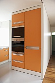 Modern kitchen with orange units