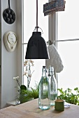 Pendant light in front of window