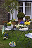 Spring flowers and Easter eggs on table