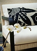 A detail of a white orchid flower with cane chair in the background,