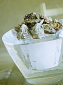 Ice covered bowl topped with fresh shellfish
