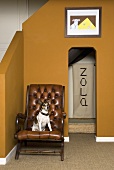 Dog on an antique leather chair in front of ochre yellow walls in a stairwell