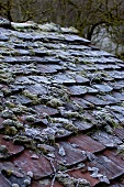 Weathered roof in winter