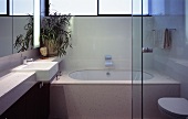 A modern bathroom with a designer glass partition wall