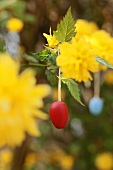 Hanging Easter eggs