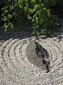 A zen garden