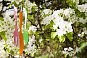 Decorative cutlery hanging from strings in a flowering apple tree