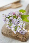 A bunch of lady's smock and apple blossom on an old board