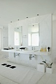 A washstand with two wash basins and two mirrors on a partition wall in an elegant bathroom