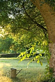 A view through an archway into a garden