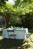 A table laid under a tree in a garden