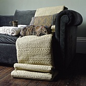 A cat lying on a blanket on a sofa