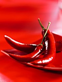 Red chillies on red plate
