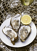 Three oysters with lemon