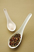 Peppercorns and salt on two spoons