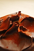 Chocolate cake (detail)