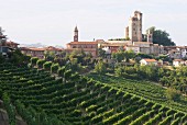 Serralunga d'Alba, Piedmont, Italy