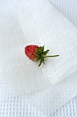 A woodland strawberry