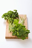 Fresh Organic Curly and Flat Leaf Parsley