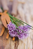 Fresh chives with flowers