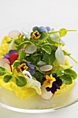 Salad with spring flowers and radishes