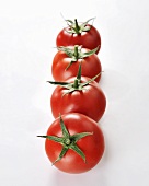 A row of four tomatoes