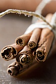Cinnamon sticks, tied in a bundle