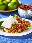 Thinly sliced chicken with cashews and rice