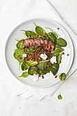 Spinach salad with lentils, goat cheese and bacon