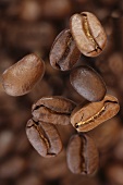 Lots of coffee beans (close up)