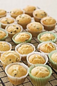 Currant muffins with chocolate chips on a wire rack