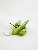 Three green chili peppers