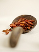 Chili peppers on a wooden spoon