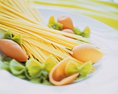 Assorted pasta on a pasta plate