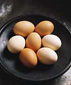 Mehrere braune und weiße Eier in einer Schüssel