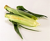 Two corncobs
