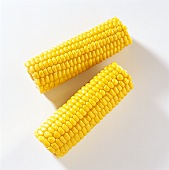 Two cooked corncobs