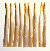 Several spears of white asparagus in a row
