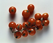 Several cherry tomatoes on white background
