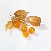 Several physalis