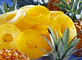 Mehrere geschälte Ananasscheiben